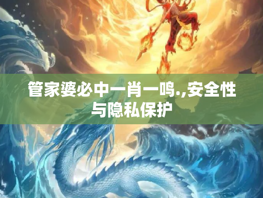 管家婆必中一肖一鸣.,安全性与隐私保护