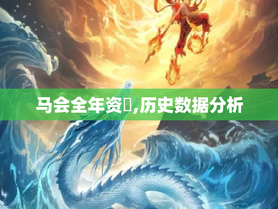 马会全年资枓,历史数据分析