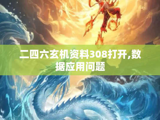 二四六玄机资料308打开,数据应用问题