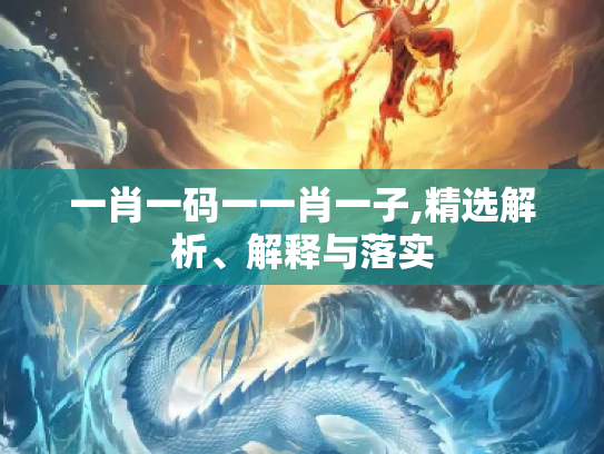 一肖一码一一肖一子,精选解析、解释与落实