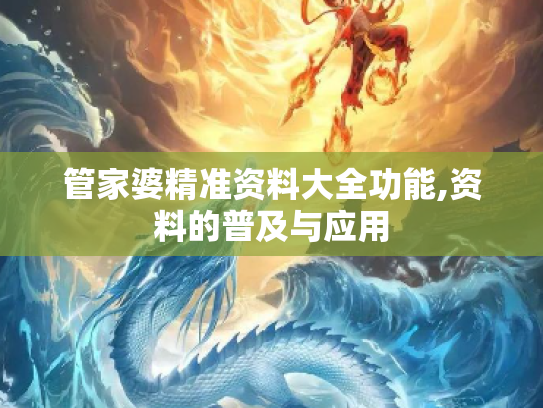 管家婆精准资料大全功能,资料的普及与应用