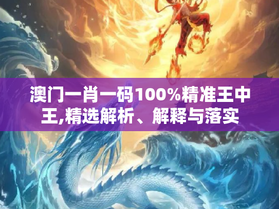 澳门一肖一码100%精准王中王,精选解析、解释与落实