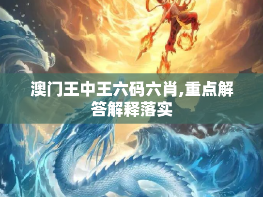 澳门王中王六码六肖,重点解答解释落实