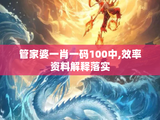 管家婆一肖一码100中,效率资料解释落实