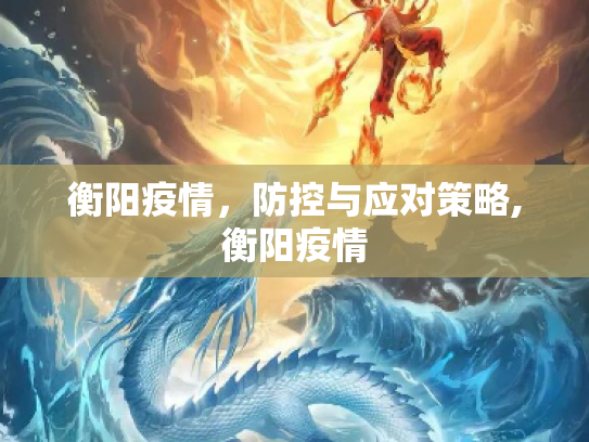 衡阳疫情，防控与应对策略,衡阳疫情